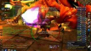 Multitude Vs Vael