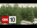 Innovative Farming Challenges in UAE