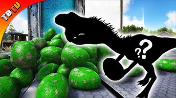 FULLY MUTATED OVIRAPTOR! Ark Survival Evolved Mutation Zoo