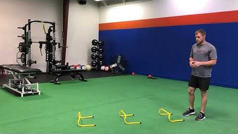 Low Hurdle Jump Mini Bounce w/Stick