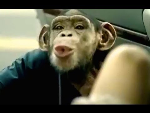 Hahaha That S Too Funny Best Trunk Monkey Commercials Youtube