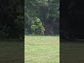 You ever feel like you're being watched?