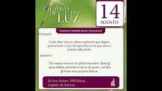 Palavras de Luz em Português e Esperanto – 14/08/2023