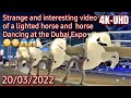 FIRS TIME AT DUBAI EXPO😱👏 Strange PROGRAMS-Lightning Horeses Dance and INTERESTED video 19/03/2022