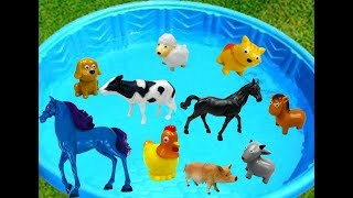 Pool Full of Farm Animals to Learn Colors for Babies