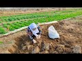 The village girl works hard to dig the soil for her livelihood  daily life of rural girls nature