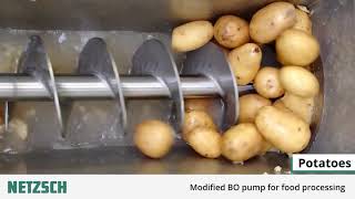 NETZSCH Pumps UK: Hoppermounted BO pump processing various fruit and vegetables