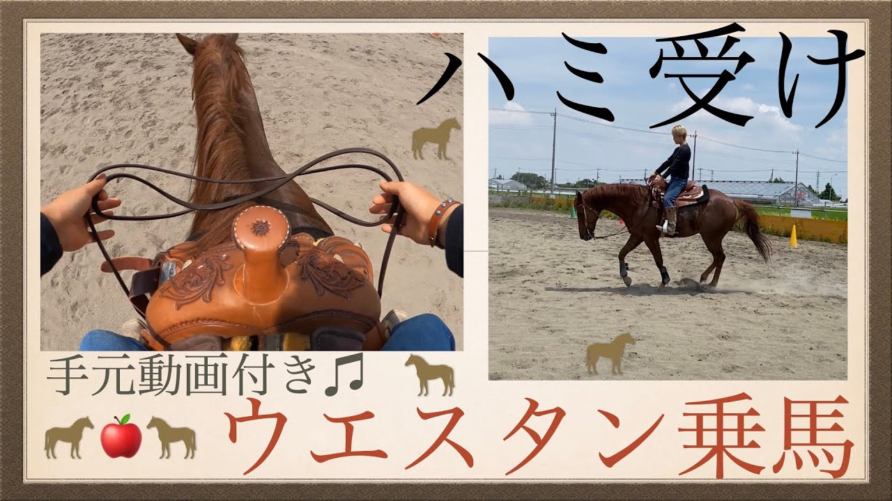 ウエスタン乗馬】ハミ受け！！！ - YouTube
