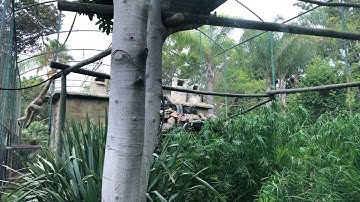 Enjoy High-resolution Photos & Videos to FREE Download! 📸 PIXAMBO.COM 🎥 Nested Sequence 20