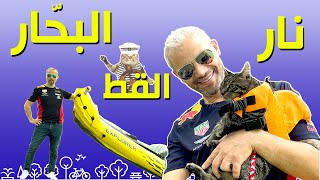 جزيرة الكنز، تجربة الإبحار مع القط نار، القطط والماء  KAYAK with my CAT