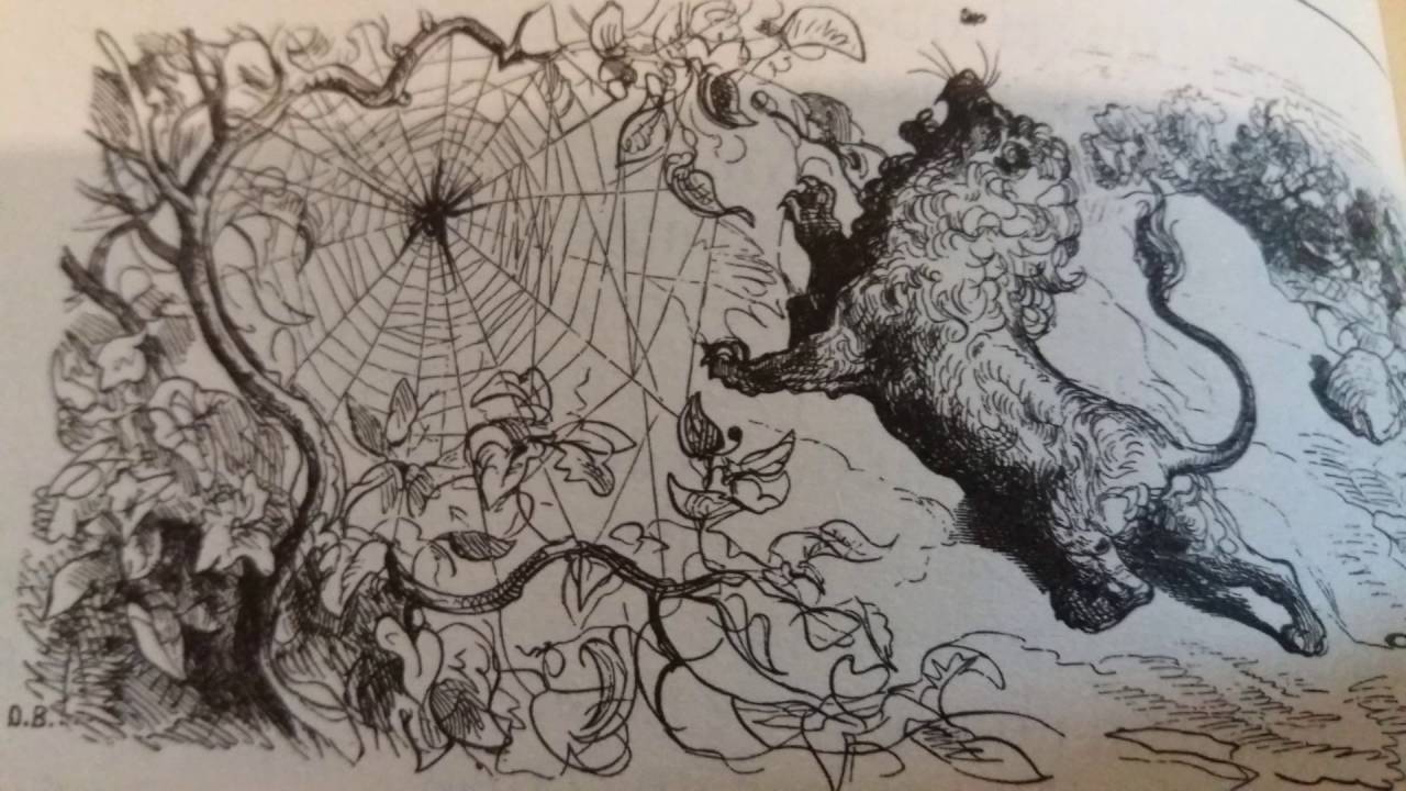 Fables de La Fontaine - Le lion et le moucheron - YouTube