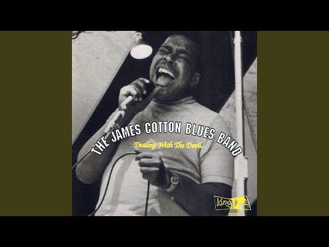 Putar Something On Your Mind - James Cotton