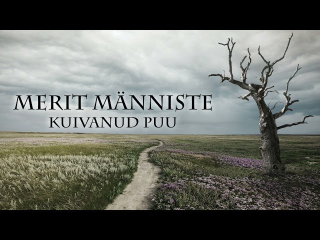 Merit Manniste - Kuivanud Puu