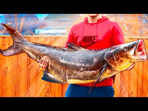 Video: Kako Ocvreti Ribe Polok
