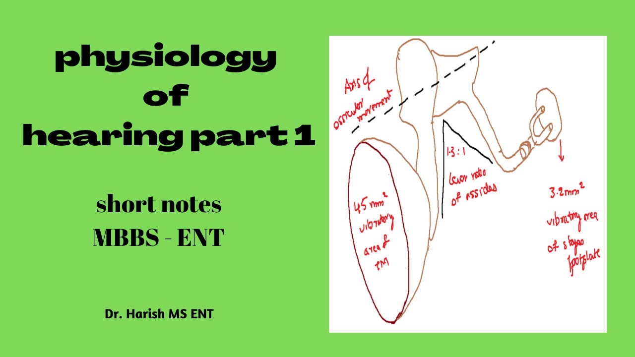 Physiology of hearing part 1/2 | MBBS - ENT