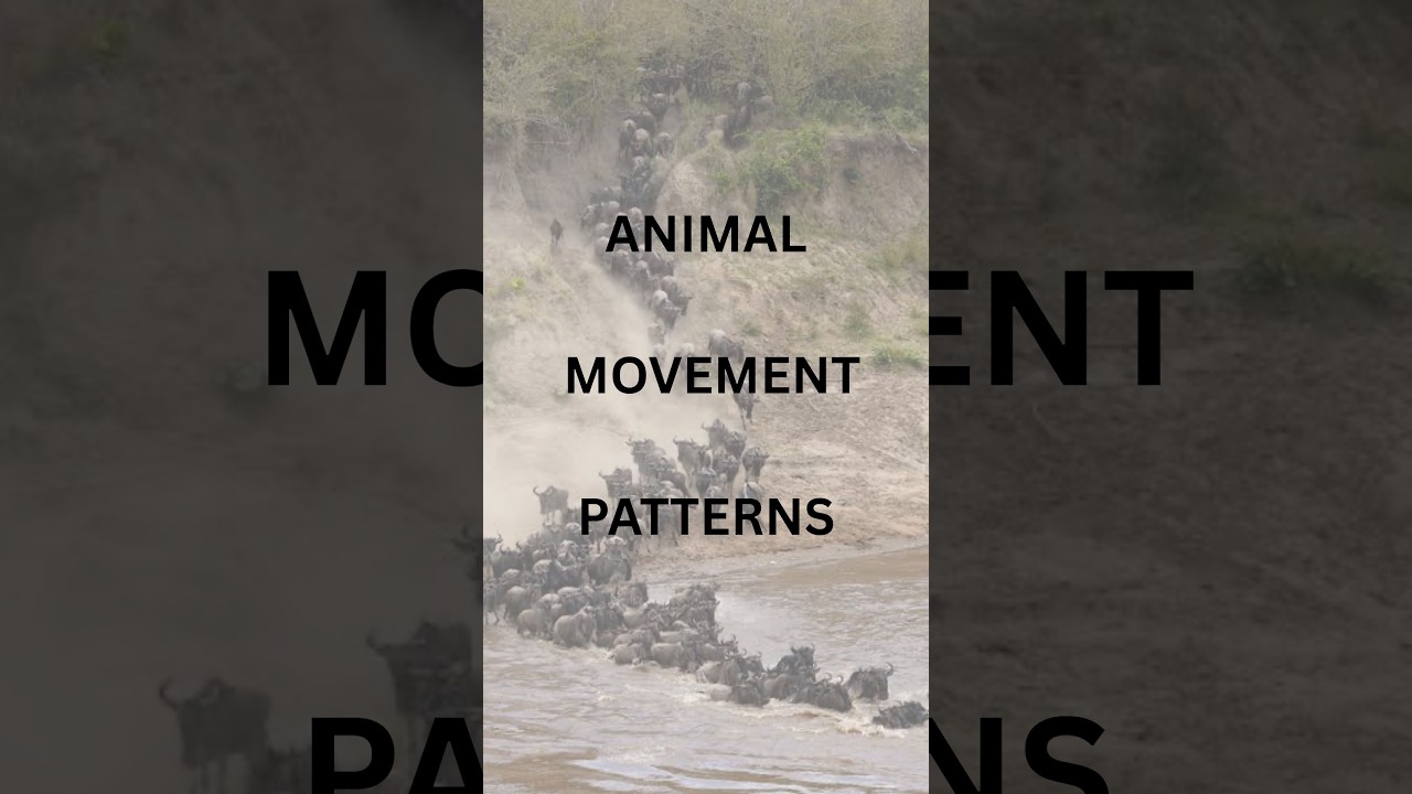 Following Ancient Herds: How Isotopes Reveal Seasonal Animal Movement