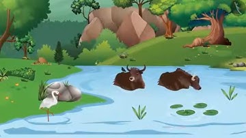 Class 3 EVS Chapter 1 