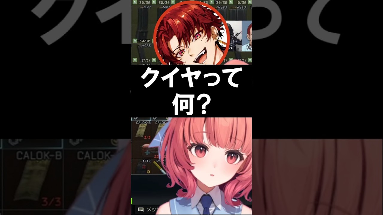 クイヤについてツルギとらっしゃーから教わるあかりん【夢野あかり/ぶいすぽ/切り抜き/豚笑楽】