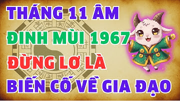 Khẩn Cấp! Đinh Mùi 1967: Đừng Lơ Là về Gia Đạo Trong Tháng 11 Âm 2025