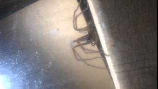 WP 20140906 002