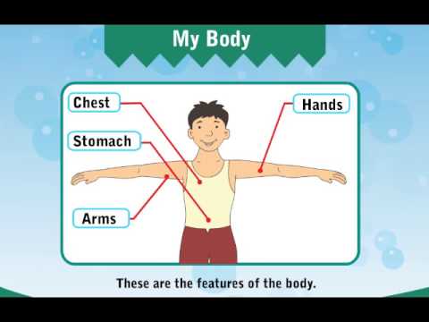 smart start lkg 02 evs my body youtube
