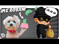 ROBAN a mi PERRO! Dasha es ENGAÑADA! Anima Dogs