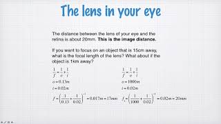 34a-0 Making an eye part 2: the lens. (1201)