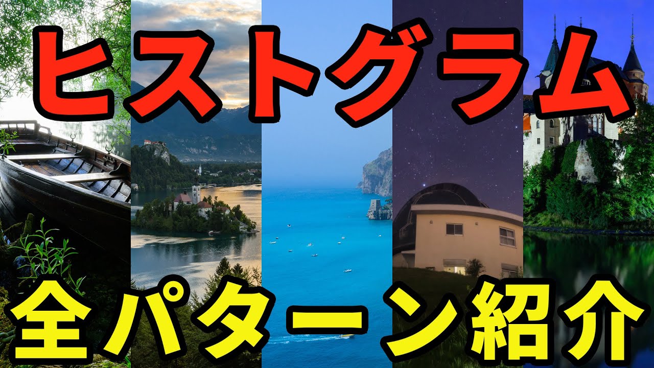 【問題解決】ヒストグラムの全パターン紹介・風景・人物・動物