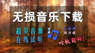 极简无广告！全网无损音乐自由下载