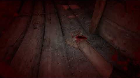 Insane Mode Stupid Death (Outlast 2)