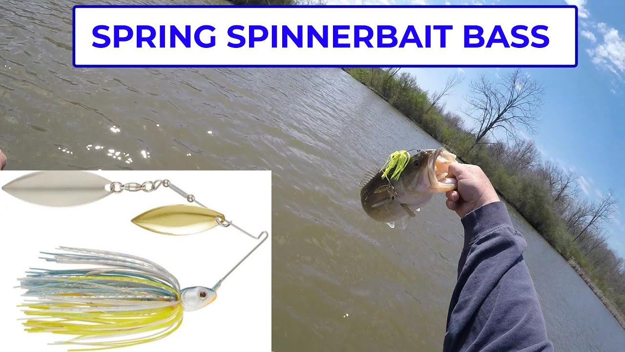 5 Gonne In Silicone Per Esche Pesca - DW Lures 5'' Bianco/Giallo/Blu Chiaro Per Spinnerbait