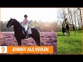 JOHNNY ALS VEULENTJE! | PaardenpraatTV