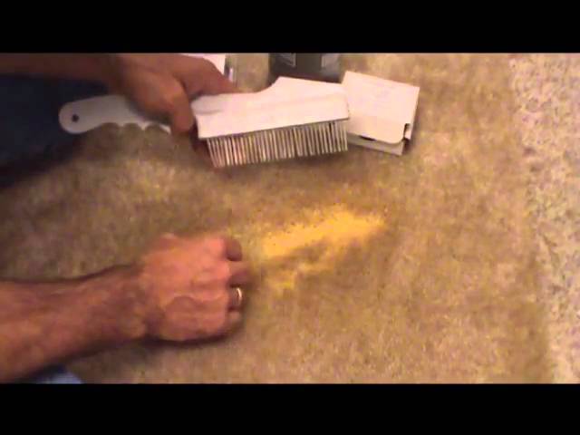 How To Remove Bleach Stains on Carpet? - Professional Carpet Dyeing _  DyeBold