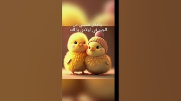 الشيخ ماهر المعيقلي. سورة البقرة