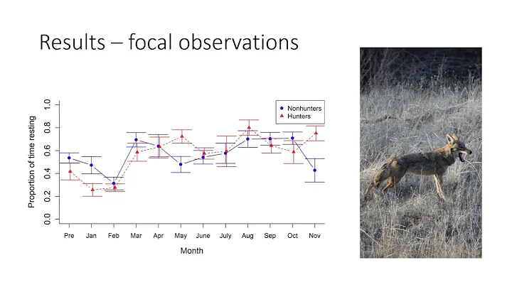 Effects of foraging mode on the behavior of captiv...
