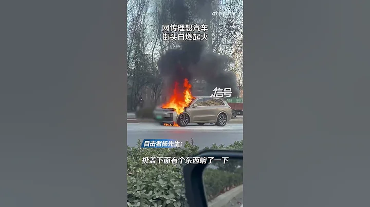 網傳理想汽車L9街頭自燃起火 目擊者：車主稱一聲響動後起火自燃 - 天天要聞