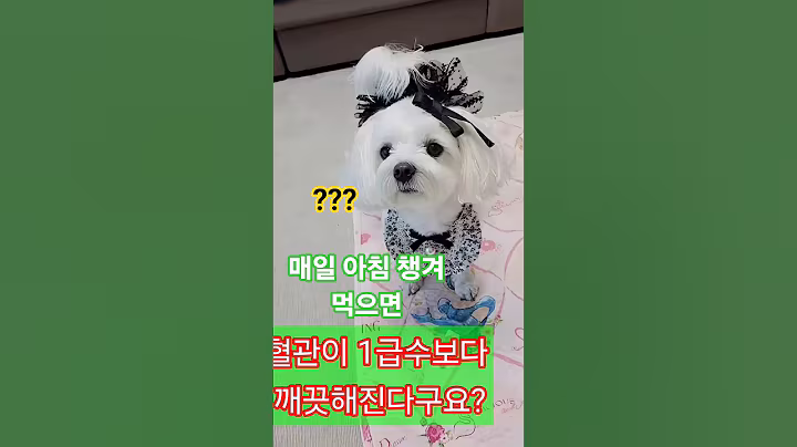 아침밥 대신 먹으면 혈관이 청소되는 음식 3가지 출처:@생생정보TV #건강 #건강정보 #추천 #귀여운 #강아지 와 공부해요 #cute