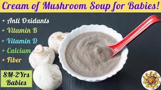 Mushroom Soup Recipe for 8Months to 2Yr Babies, Toddlers | Healthy Homemade Vegetarian Soup for All