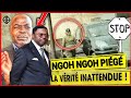 Alerte  les rvlations choc jusquaux plus hautes sphres du pouvoir  ferdinand ngoh ngoh pig