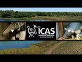 ICAS - Instituto de Conservação de Animais Silvestres