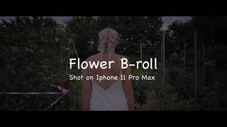 Smartphone Cinematic Footage (B-roll) IPhone 11 Pro Max