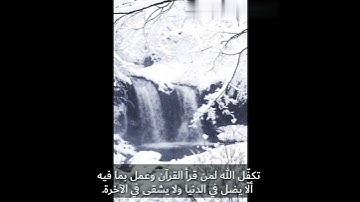 حالات واتس آب دينية /قرآن كريم ارح قلبك وسمعك /#حالات دينية /طمأنينة لقلبك ❤️