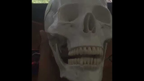 Talking Skull Project Part 1 Complete