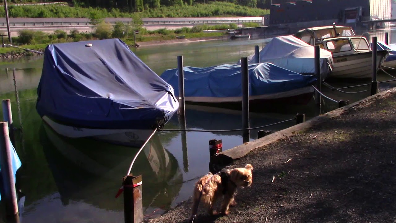 Aare im Aargau in der Klein Stadt Rothrist im Aargau