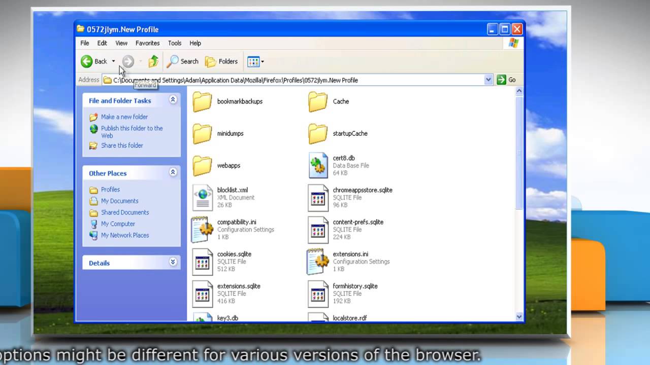 Mozilla® Firefox: How to copy files between profile folders in Windows® XP