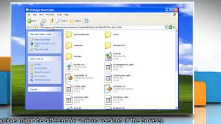 Mozilla® Firefox: How to copy files between profile folders in Windows® XP