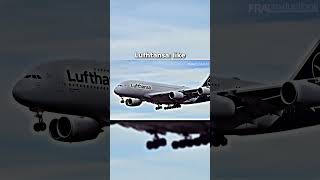What airlines do you fly with? #airplane #shortvideo #aviation #plane