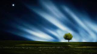 Download Lagu INDIA Vs Australia 2020 Series Theme SONG MP3