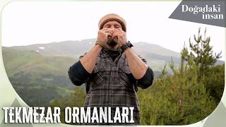 Serdar Kılıç, Ordu Çambaşı Yaylası Yakınlarındaki Tekmezar Ormanlarında.. Doğadaki İnsan 83. 