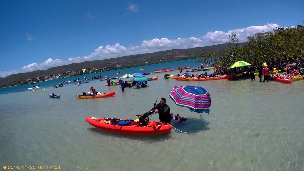 Las Aventuras Kayakeras del Club Aqua Sports Kayaks en Puerto Rico